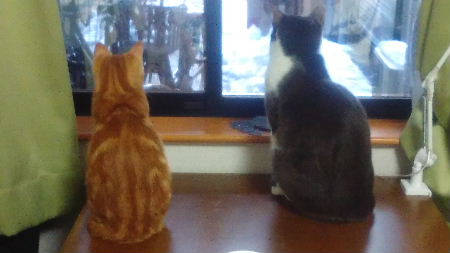 猫二匹雪をながむる