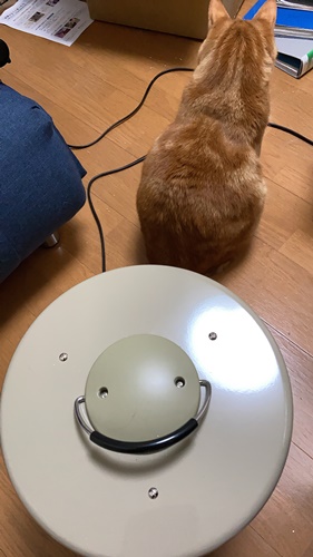 猫が好きな暖房器具